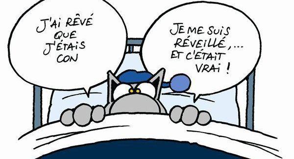 Un porteur sain qui s’ignore: le con porteur sain.