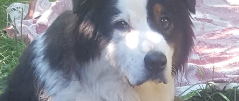 Message de Gus : Dépassement de soi et détachement