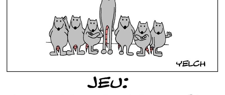 Jeu : trouvez le rat qui fait du basket