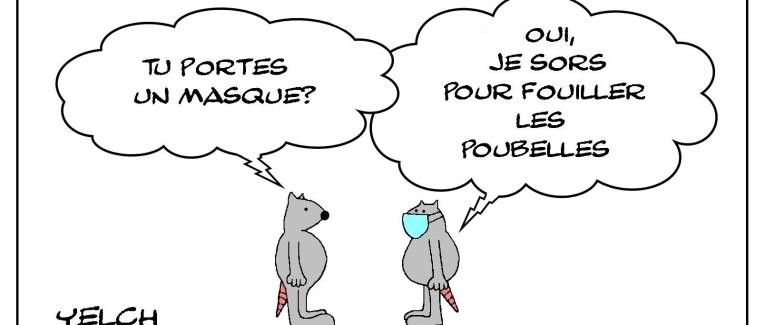 le masque pour fouiller les poubelles