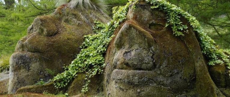 Les trolls des forêts