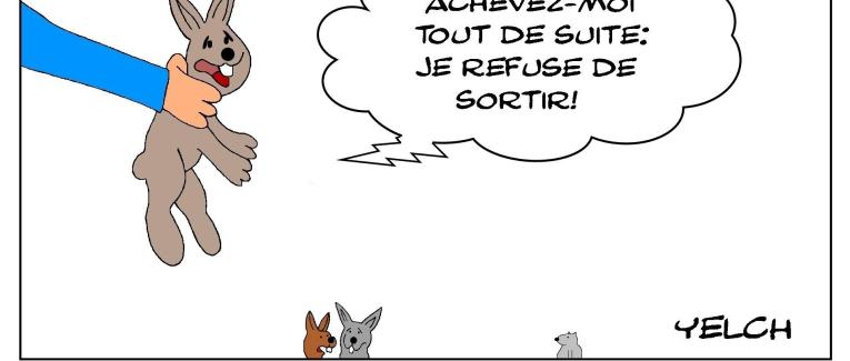 Lapins de cage et de chasse