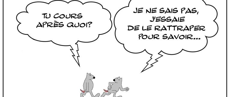 Le rat qui courait après quelque chose...
