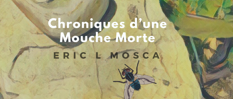 CHRONIQUES DE LA MOUCHE