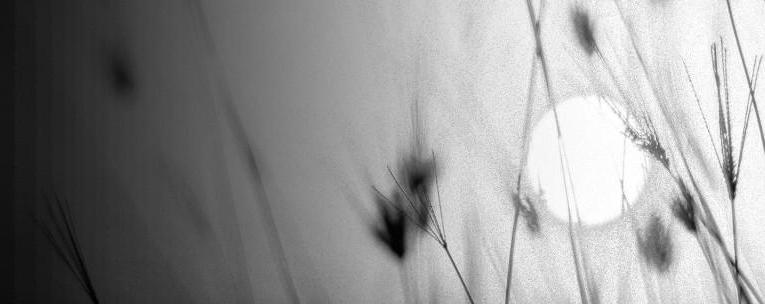 Anticipation, dystopies et autres vues de l'esprit.