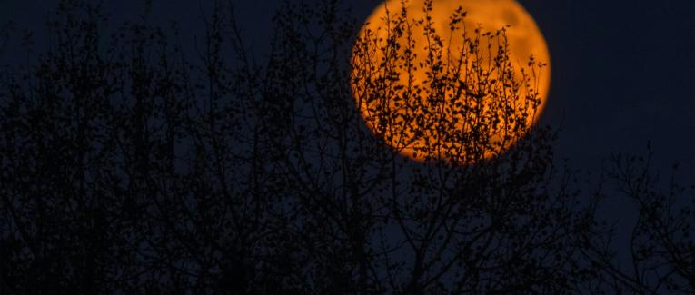 Nos histoires de fantômes au coin du feu