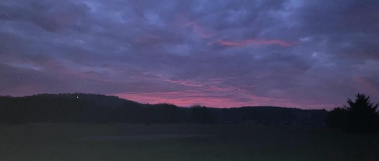 Exercices d'écriture