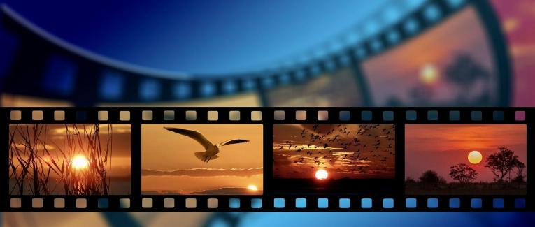 Des choses à voir...