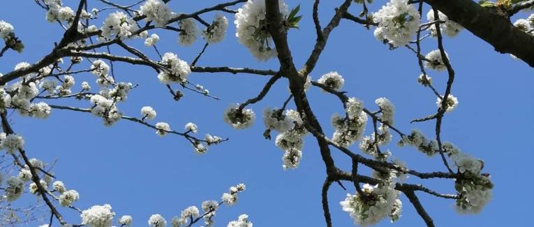 Les chroniques de Bella M