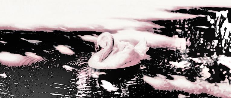 L'union du 3ème & 8ème art