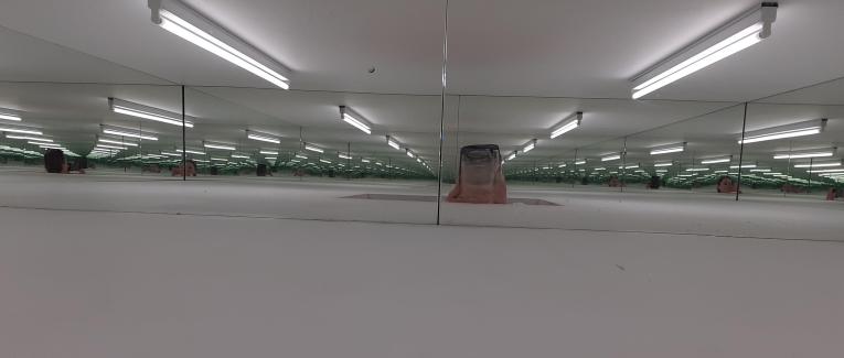 Essays: Literature and...