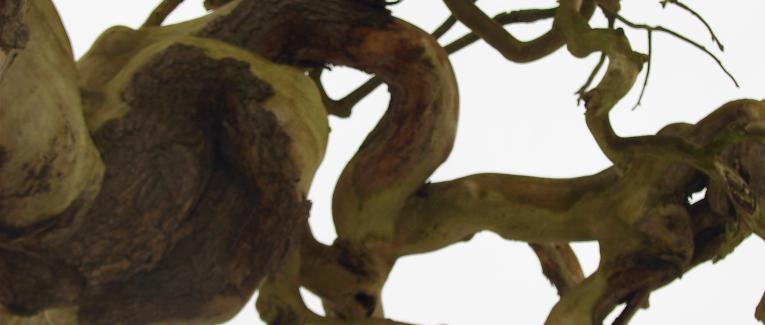 Le fond du tiroir (Poésie en rab).