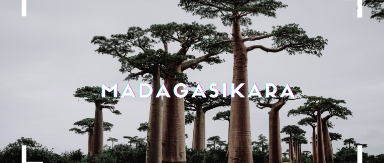 Teny Atsipy [Mots lancés]