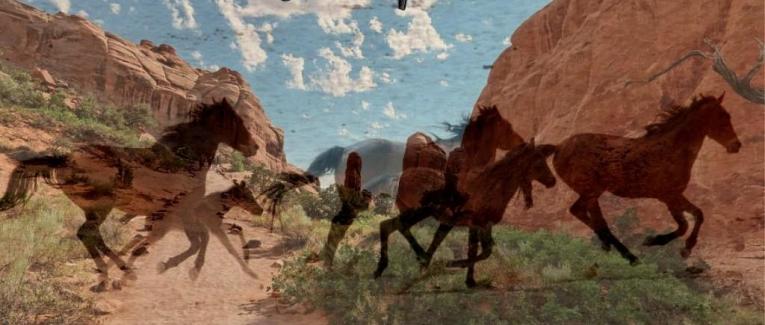 Bienvenue dans mon univers