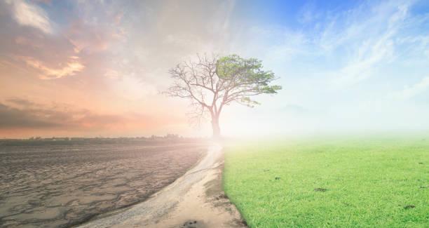 Accompagner la fin de vie et la mort par les mots