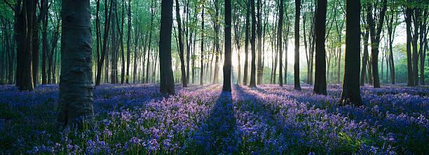 L'Être aux mondes. 
Essais, proses, poésies.