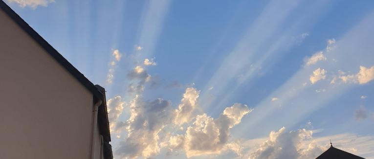 Les murmures du cœur