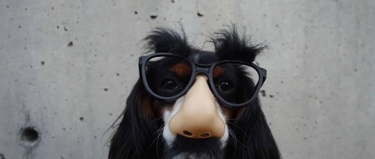 émotions hétéroclites