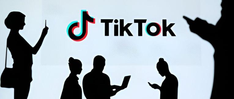 Social Media Downloader