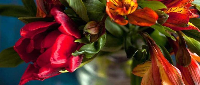 Природа,животни и население!