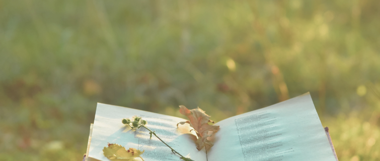 Poésies et autres rêveries