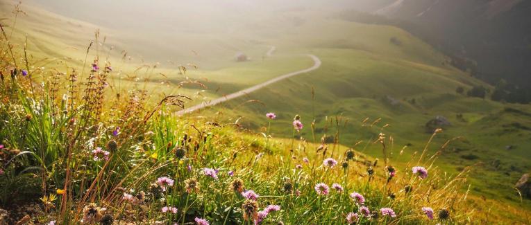 L'Auto-guérison à ta portée