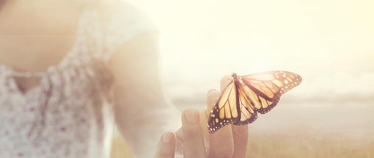 Connectivité quantique