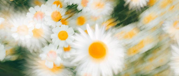 Strumenti di contrasto alle fake news nel periodo del Covid-19