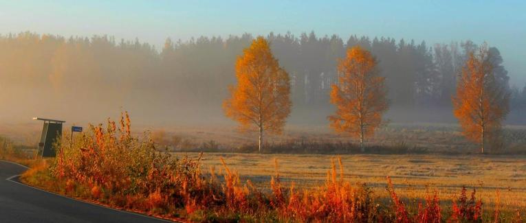 Défi d'écriture: #Linktober2025