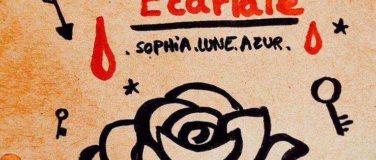 L'Affaire 'Rouge Écarlate'