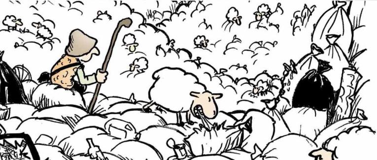 Archives & vieux dessins