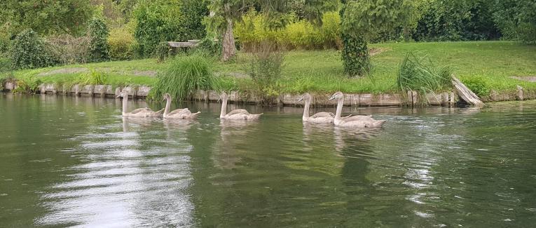 Les tumultes de l'existence