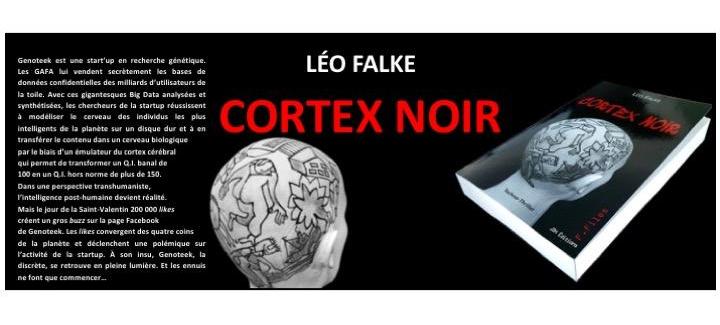 Cortex noir, Léo Falke