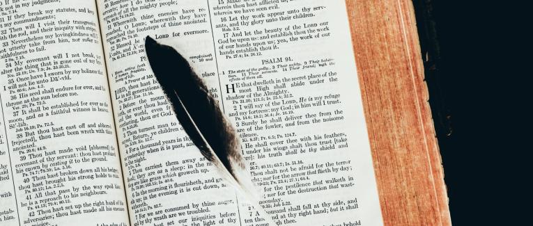 La chambre des plumes