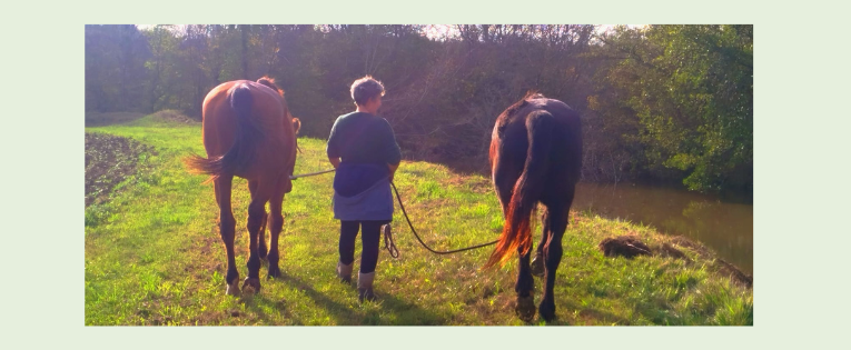 Ouvre ton cœur et retrouve le chemin de soi