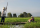 La crise agricole dans le Delta du Mékong