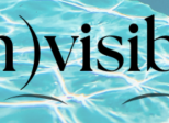 (in)visible