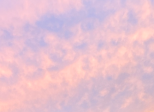 T.V