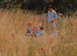 Le Bonheur (Agnès Varda, 1965)