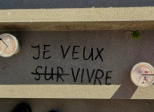 Vivante