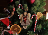 Mon beau sapin, roi du salon