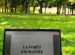 Bienvenue dans la Forêt enchantée (théâtre)