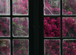 Du verre et de la vie