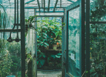 Mon paradis perdu