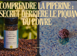 La Pipérine : L'Essence Épicée du Poivre Révélée - Une molécule incroyable
