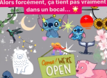 « La tombée de la nuit ne fait pas de cadeaux aux Stitch » 