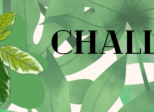 Challenge - Jalap
