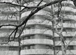 Mini expo photo 14 : L’arbre dans la ville