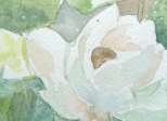 Ecrire la fleur