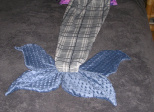 Couverture SIRENE